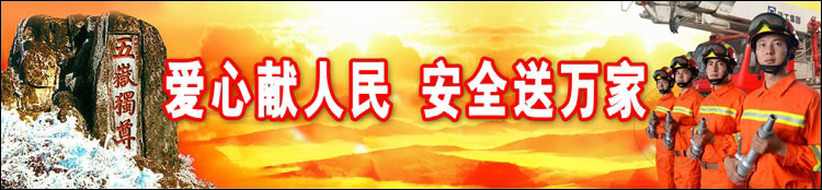 东阿消防大队展板设计作品