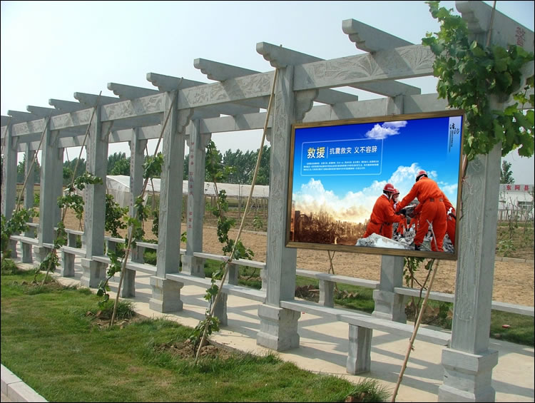 东阿消防大队展板设计作品