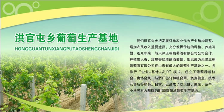 聊城茌平洪官屯展板设计作品