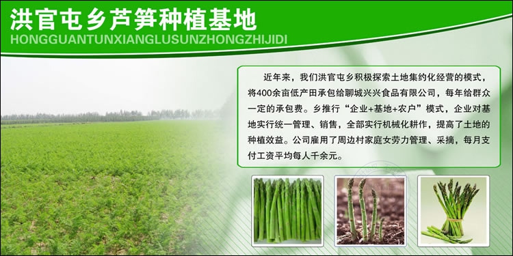 聊城茌平洪官屯展板设计作品