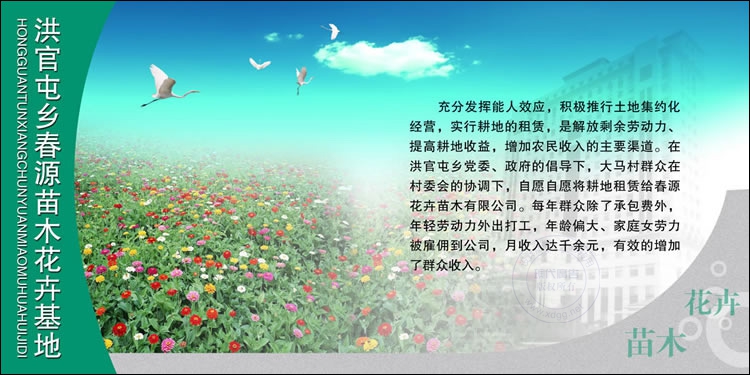 聊城茌平洪官屯展板设计作品