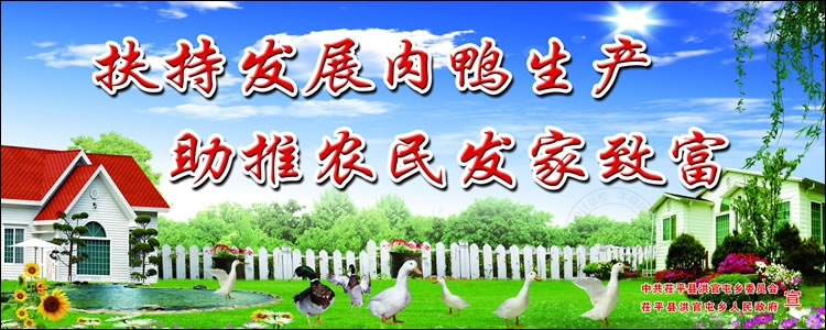 聊城茌平洪官屯展板设计作品