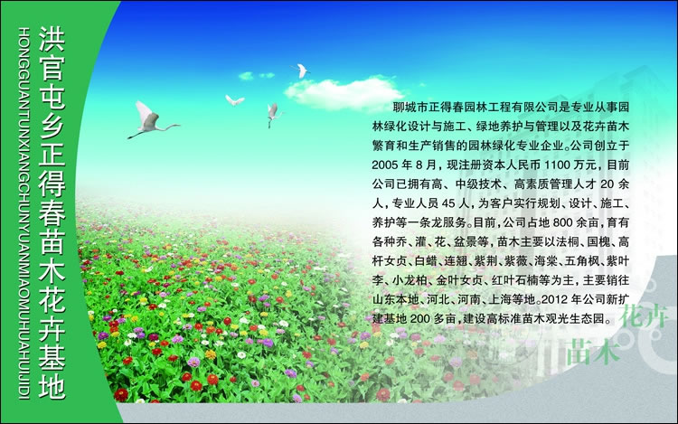 聊城茌平洪官屯展板设计作品